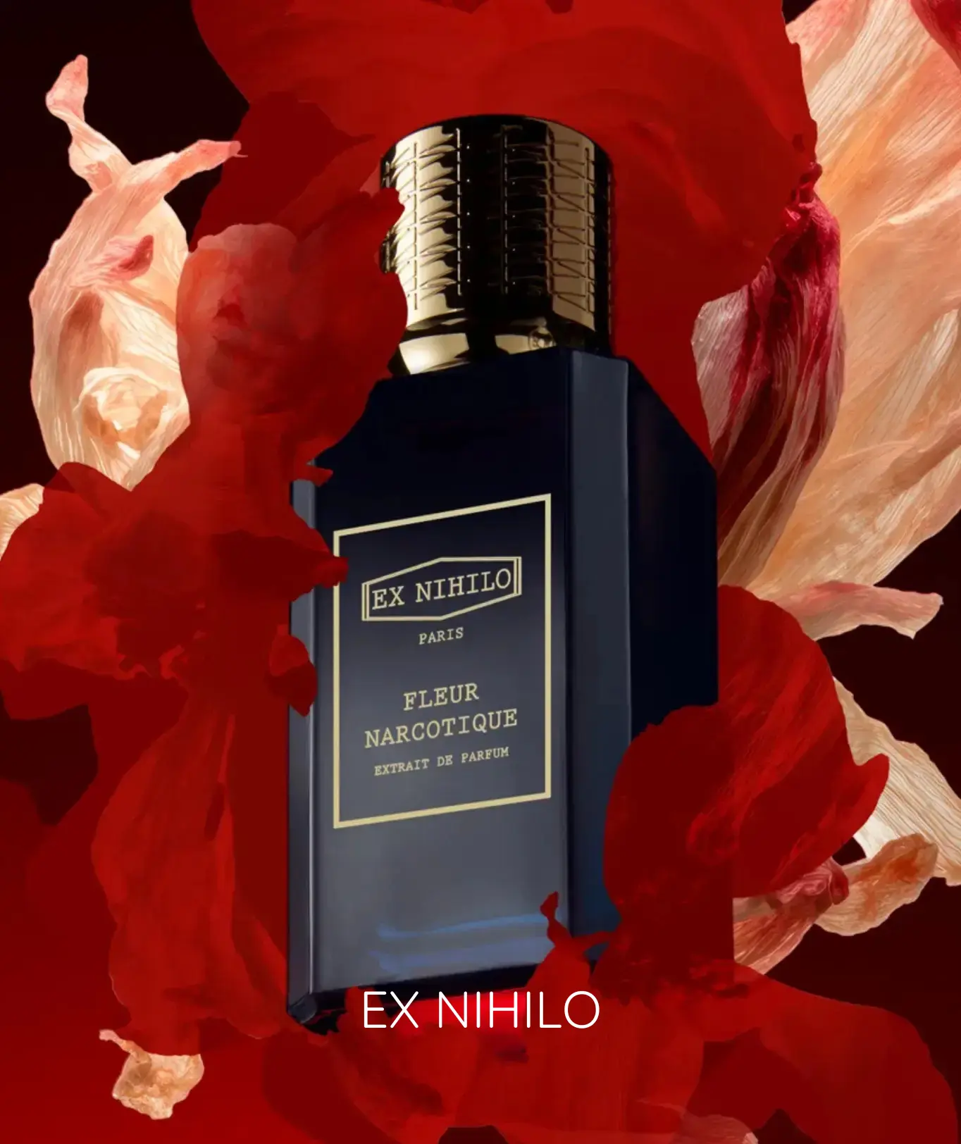 EXNIHILO